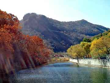 新澳天天开奖资料大全旅游团，黑帽seo培训海瑶